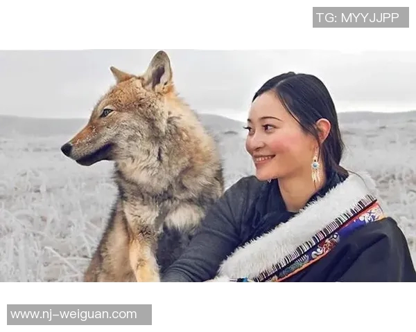 断袖王爷与夜狼王的爱恨纠葛在月光下交织的传奇故事